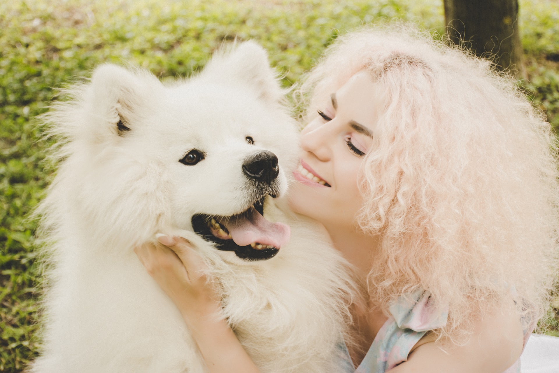Pet sitting woman sitting beside woman sitting on green grass